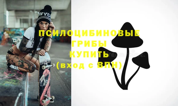 индика Алексеевка