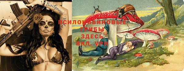 таблы Алексин