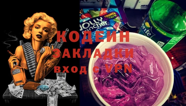 индика Алексеевка