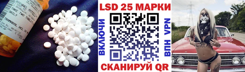 где купить наркоту  Кыштым  LSD-25 экстази ecstasy 