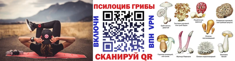 Псилоцибиновые грибы MAGIC MUSHROOMS  сколько стоит  Кыштым 
